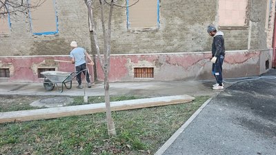 Servicii Amenajări Exterioare Profesioniste | Pavaje, Alei, Terase